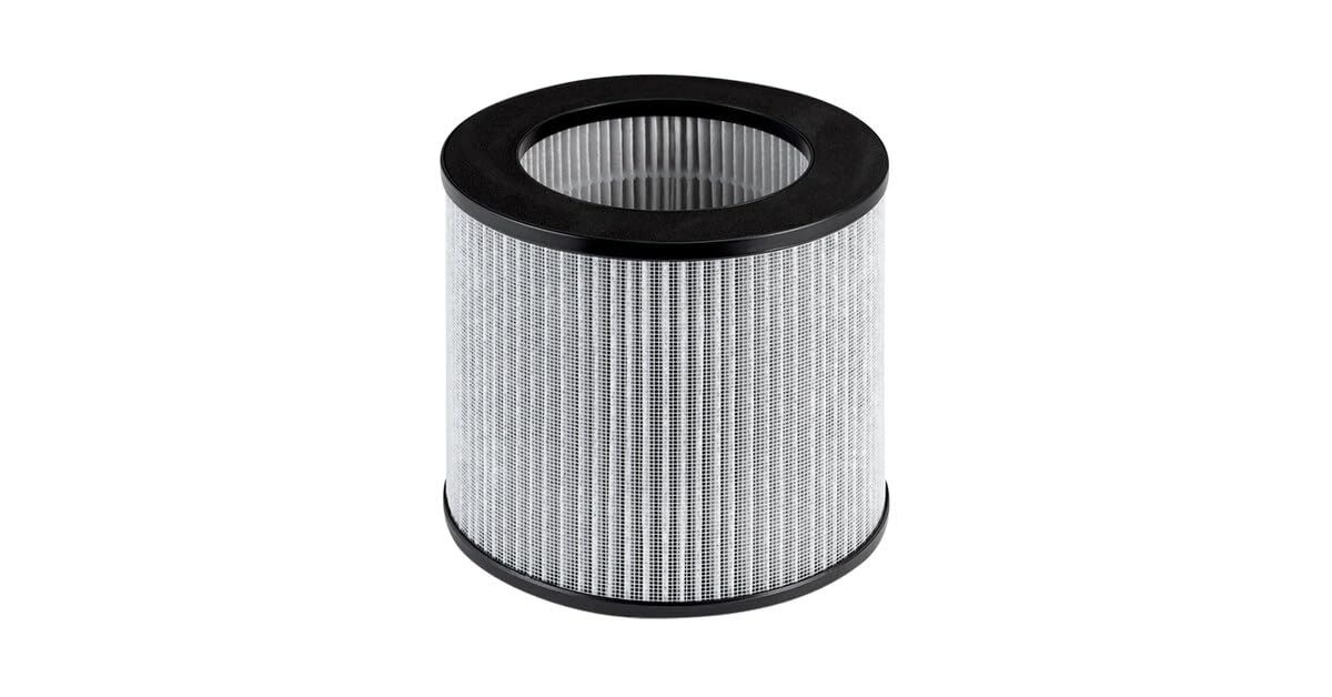 Bissell Replacement High Efficiency And Carbon Filter For The Myair Personal Air Purifier, 2801