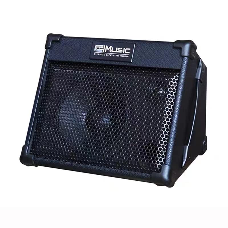 Coolmusic Portable Acoustic Guitar Amplifier, For Performers On The Go, Built In Bluetooth (40W Battery Powered)
