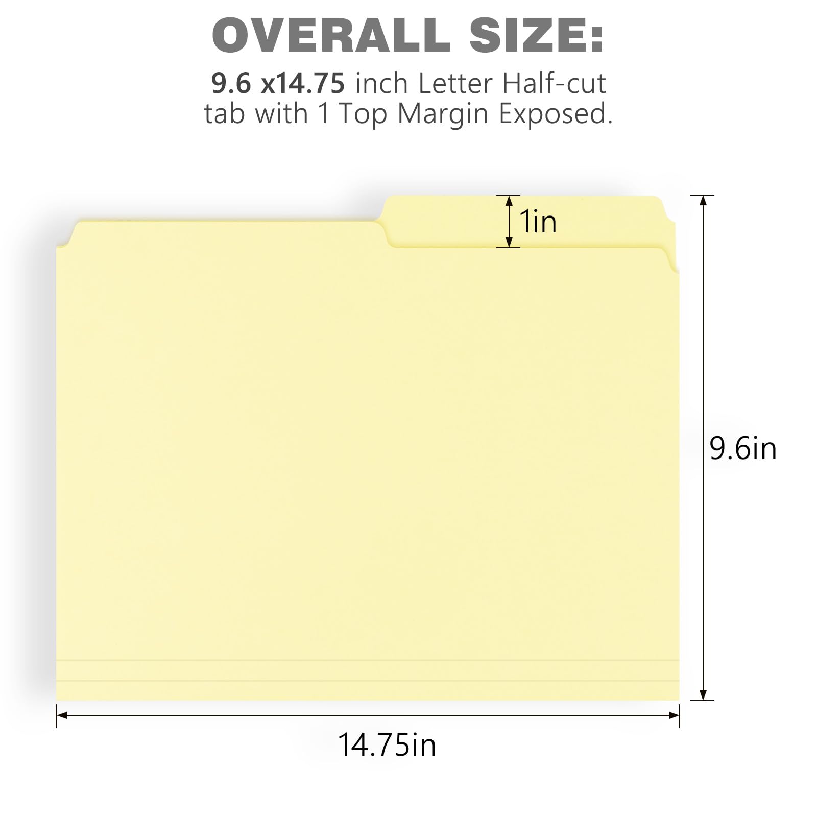 Lineco Archival Legal Size File Folders. Organize Important Documents, Prints, Photos. 9.5'' X 14.75'' With 1/2-Cut Tab, Acid-Fr