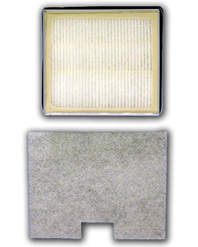 Envirocare Premium Replacement Vacuum Cleaner Hepa Filter Made To Fit Riccar 1700 1800 Immaculate And Impeccable, Simplicity S C
