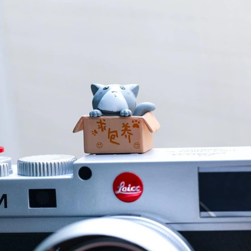 Zostland Adorable Slr Camera Hot Shoe Boot Cover Cap,Box Shoe Protector,Compatible With Sony Fuji Canon Nikon Pentax Leical. (2P