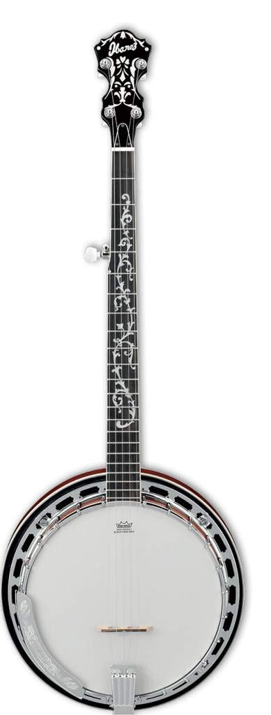 Ibanez B200 5 String Banjo W/Basswood Rim