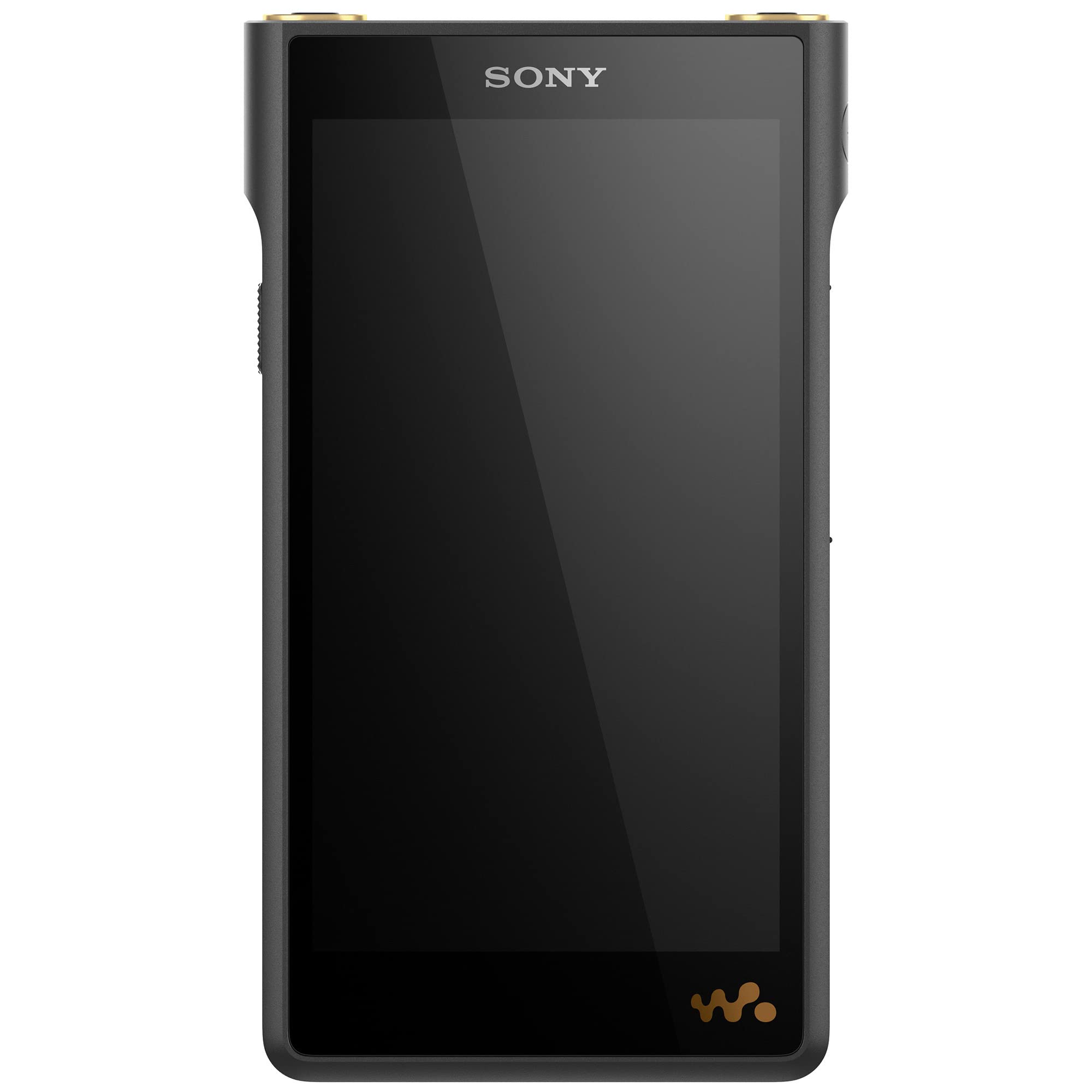 Sony NW WM1AM2 Hi Res 128GB Walkman Digital MP3 Music Player