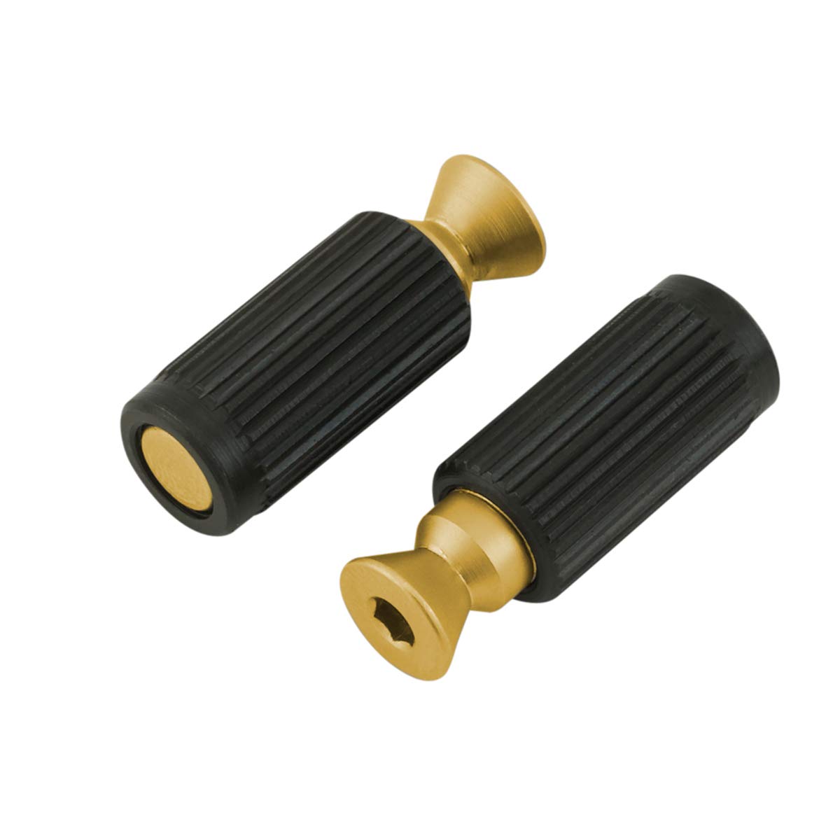 Floyd Rose 1000 Series Bridge Mounting Studs and Inserts (Satin Gold)