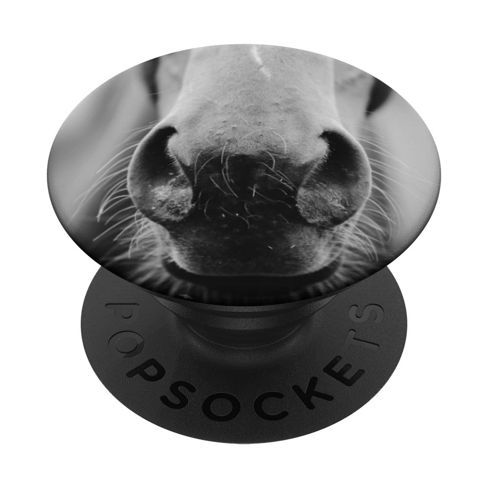 Horse Popsockets Popgrip: Swappable Grip For Phones & Tablets Popsockets Adhesive Popgrip