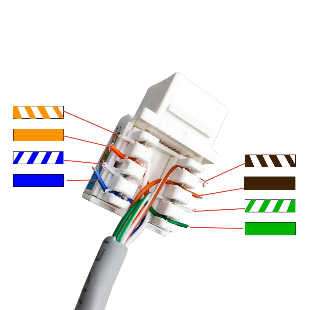 Boplat 1 Port Cat6 Ethernet Punch Down Jack Wall Plate With Tool   1 Gang Cat 6 Rj45 Keystone Jack Punchdown Cover Plate For Cat