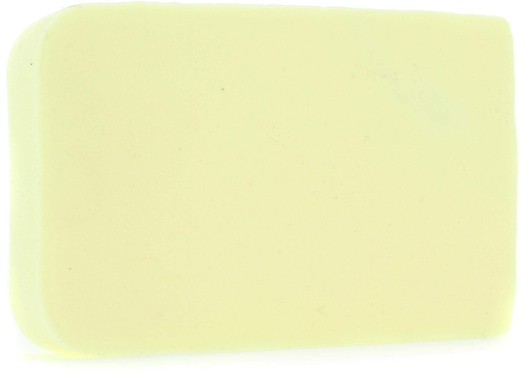 MusicNomad Humid-i-Bar Replacement Sponge for MN300 & MN303 (5-pack) Bundle