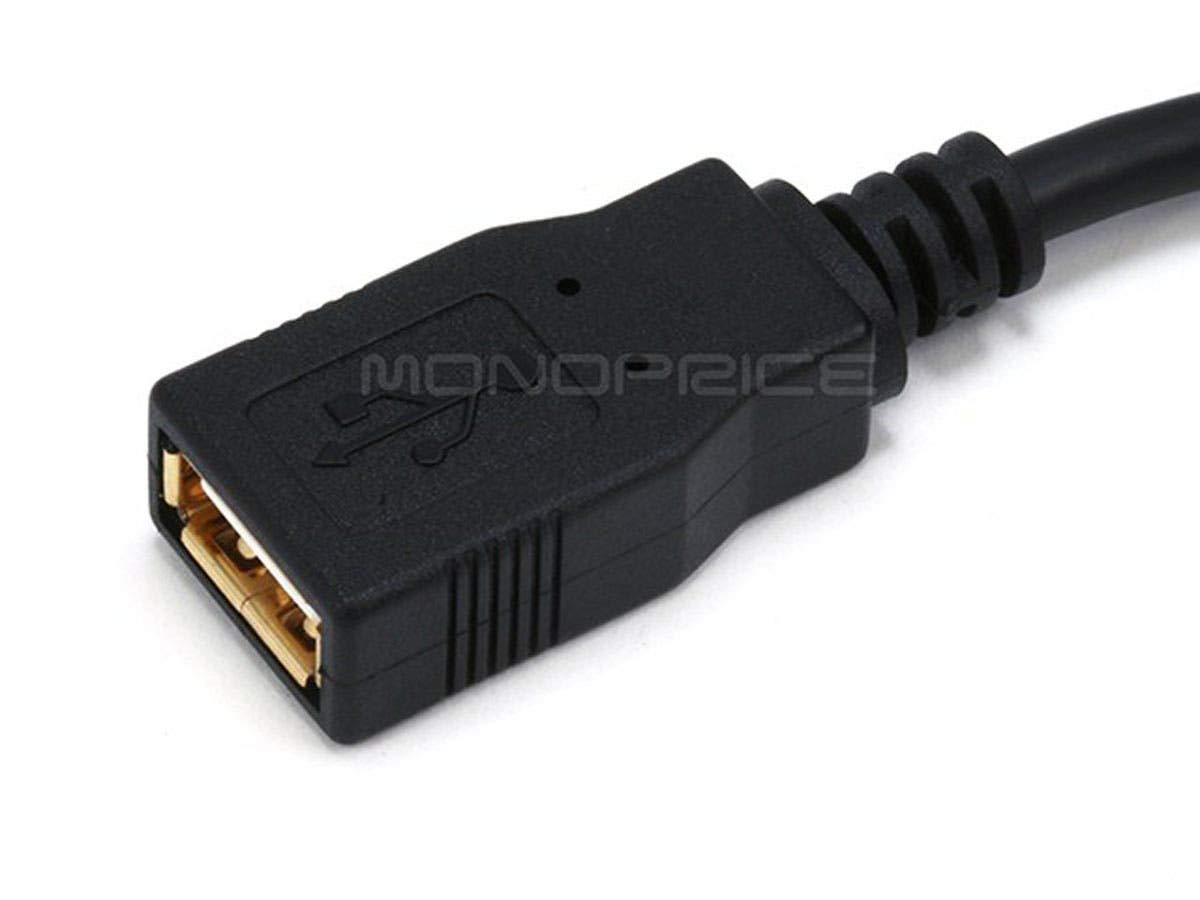 Monoprice 10 Feet Usb 2.0 A Male To A Female Extension 28/24Awg Cable (Gold Plated) (105434),Black