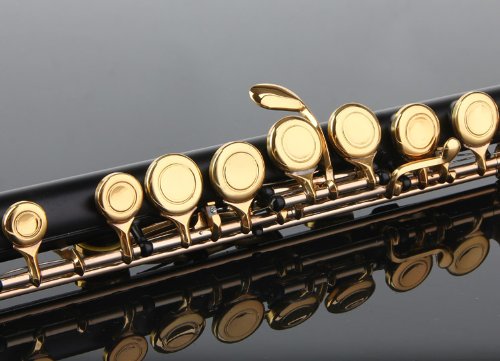 Glory Closed Hole C Flute With Case, Tuning Rod And Cloth,Joint Grease And Gloves Black/Laquer