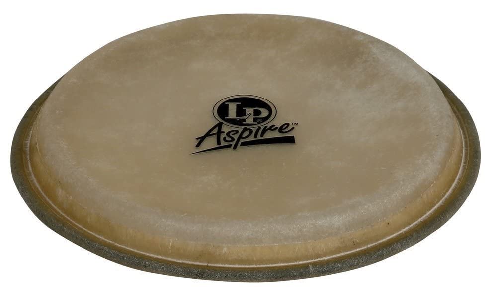 LP Aspire 8 Bongo Head