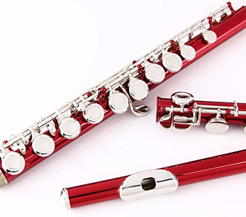 Glory Closed Hole C Flute With Case, Tuning Rod And Cloth,Joint Grease And Gloves, Red
