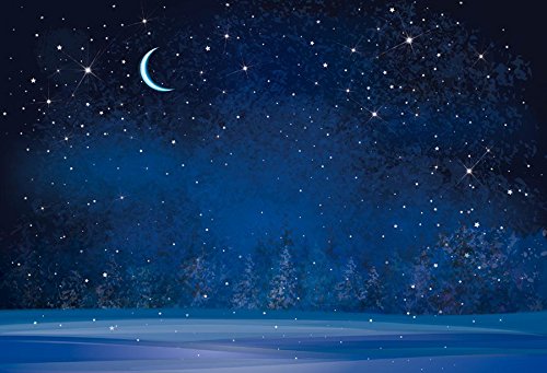 Yeele 10X6.5Ft Winter Night Snowfall Snowflake Photography Backdrops Starry Sky Moon Blurry Fir Trees Pine Forest Background Mer