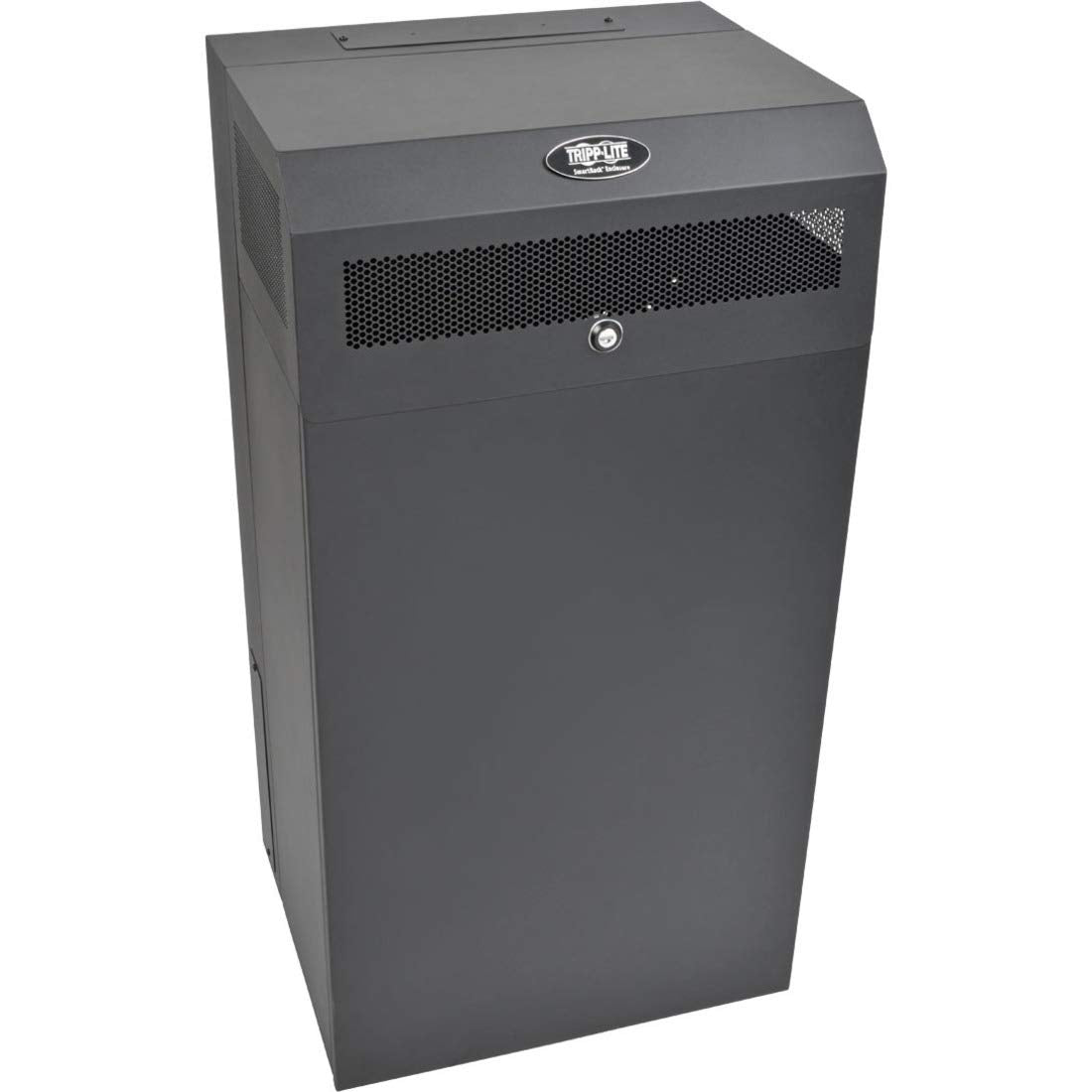 Tripp Lite Wall Mount 12U Low Profile Vertical Rack Enclosure Server Cabinet Wallmount (SRWF12U38)