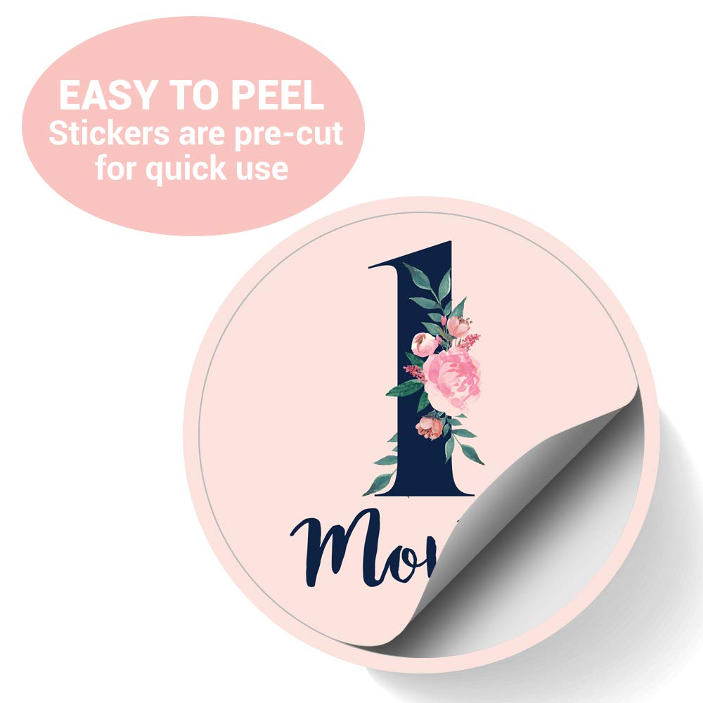 Baby Monthly Stickers | Floral Baby Milestone Stickers | Newborn Girl Stickers | Month Stickers For Baby Girl | Baby Girl Stickers | Newborn Monthly Milestone Stickers (Set Of 24)