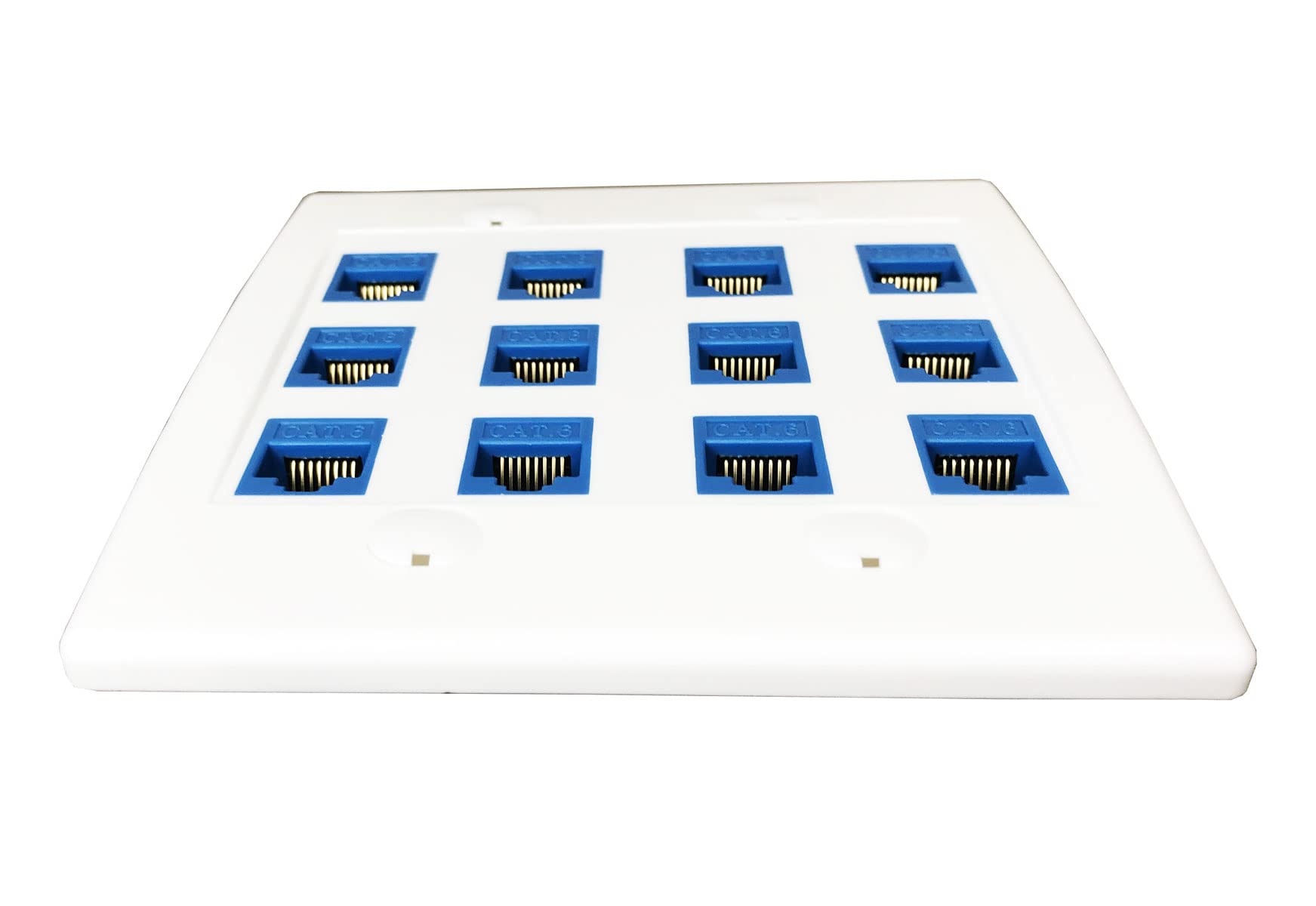 Diytech Ethernet Wall Plate   12 Port Rj45 Cat6 Ethernet Wall Outlet, Female To Female Cat6 Wall Jack Keystone, Ethernet Plug In