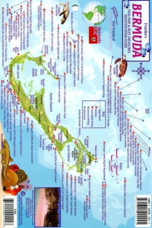 Bermuda Mini Map & Reef Creatures Identification Guide   Fish Id