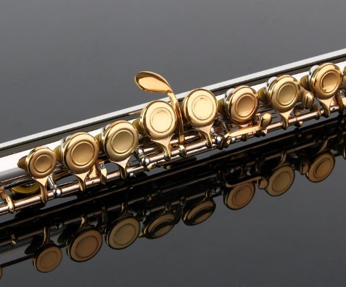 Glory Closed Hole C Flute With Case, Tuning Rod And Cloth,Joint Grease And Gloves, Nickel/Laquer