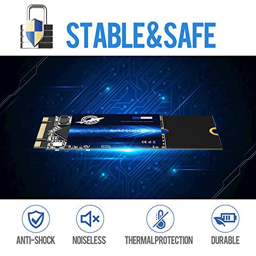 Ssd M.2 2260 1Tb Dogfish Ngff Internal Solid State Drive High Performance Hard Drive For Desktop Laptop Sata Iii 6Gb/S Includes