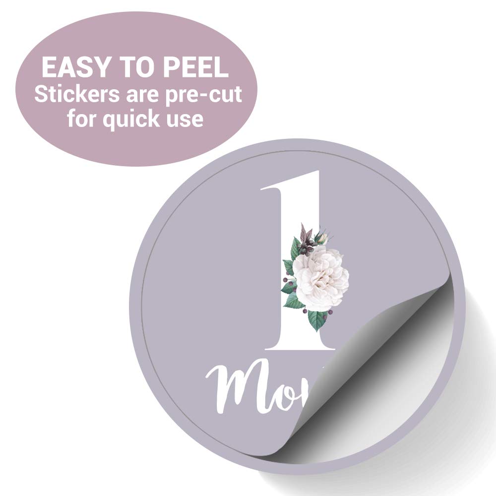 Baby Monthly Stickers | Floral Baby Milestone Stickers | Newborn Girl Stickers | Month Stickers For Baby Girl | Baby Girl Sticke