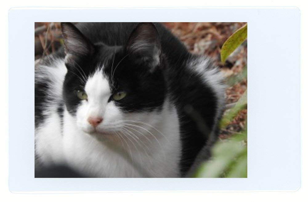 Fujifilm Instax Mini Instant Film, 10 Sheets Of 5 Pack    2 (100 Sheets)