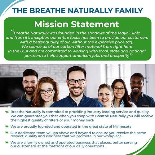 Breathe Naturally Replacment 6 Pack Hapf60 Carbon Filters Hapf60, Filter C