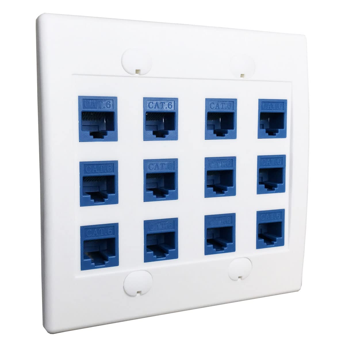 Diytech Ethernet Wall Plate   12 Port Rj45 Cat6 Ethernet Wall Outlet, Female To Female Cat6 Wall Jack Keystone, Ethernet Plug In