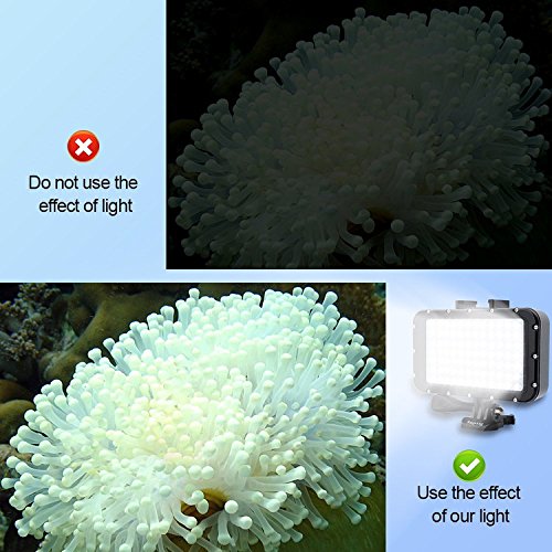 Suptig Underwater Lights Dive Light 84 Led High Power Dimmable Waterproof Led Video Light Waterproof 164Ft(50M) For Gopro Canon