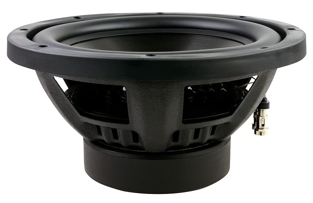 Blaupunkt 10'' Subwoofer