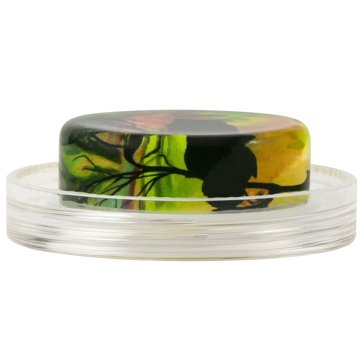 Magic Rosin Ultra Mystic Owl   Professional Grade Instrument Rosins For Cello And Bass   Excellent Grip   Delivers A Clear Compl
