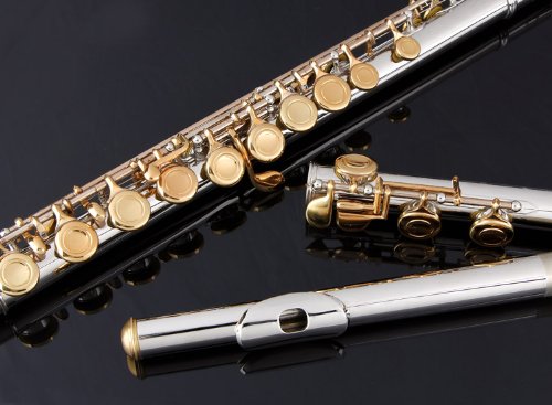 Glory Closed Hole C Flute With Case, Tuning Rod And Cloth,Joint Grease And Gloves, Nickel/Laquer