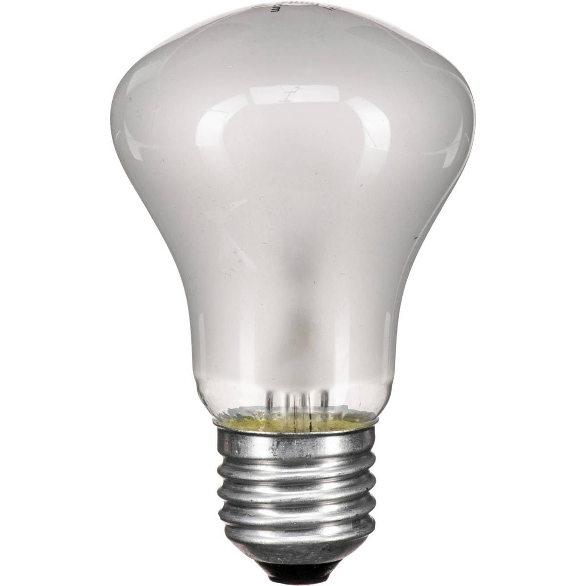 Elinchrom Modeling Lamp 100w/90v for EL250, EL250C Monolights (EL23006)