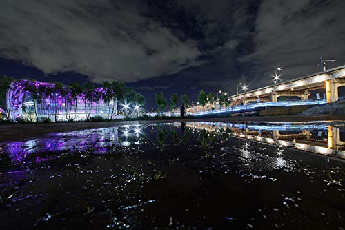 Rokinon 10Mm F/2.8 Ed As Ncs Cs Lens For Sony E Mount (Nex Mirrorless Cameras), Manual Focus