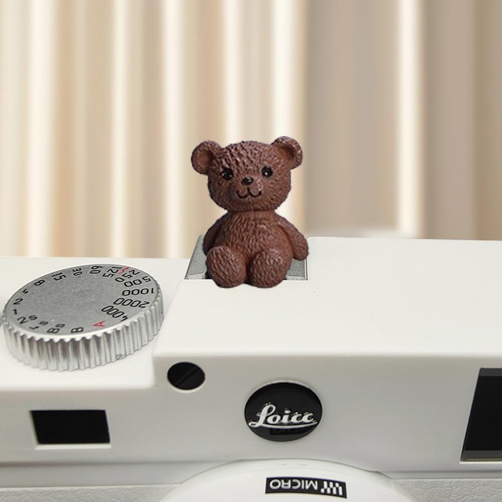 Slr Camera Hot Shoe Boot Cover Cap,Dustproof Hot Shoe Protector,Compatible With Sony Fuji Canon Nikon Pentax Leica (2Pcs Little