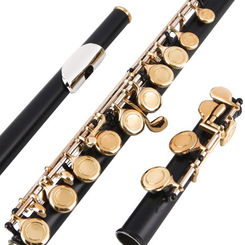 Glory Closed Hole C Flute With Case, Tuning Rod And Cloth,Joint Grease And Gloves Black/Laquer