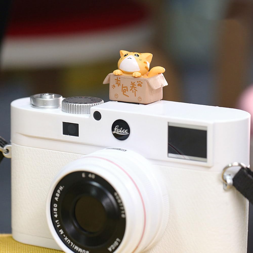Zostland Adorable Slr Camera Hot Shoe Boot Cover Cap,Box Shoe Protector,Compatible With Sony Fuji Canon Nikon Pentax Leical. (2P