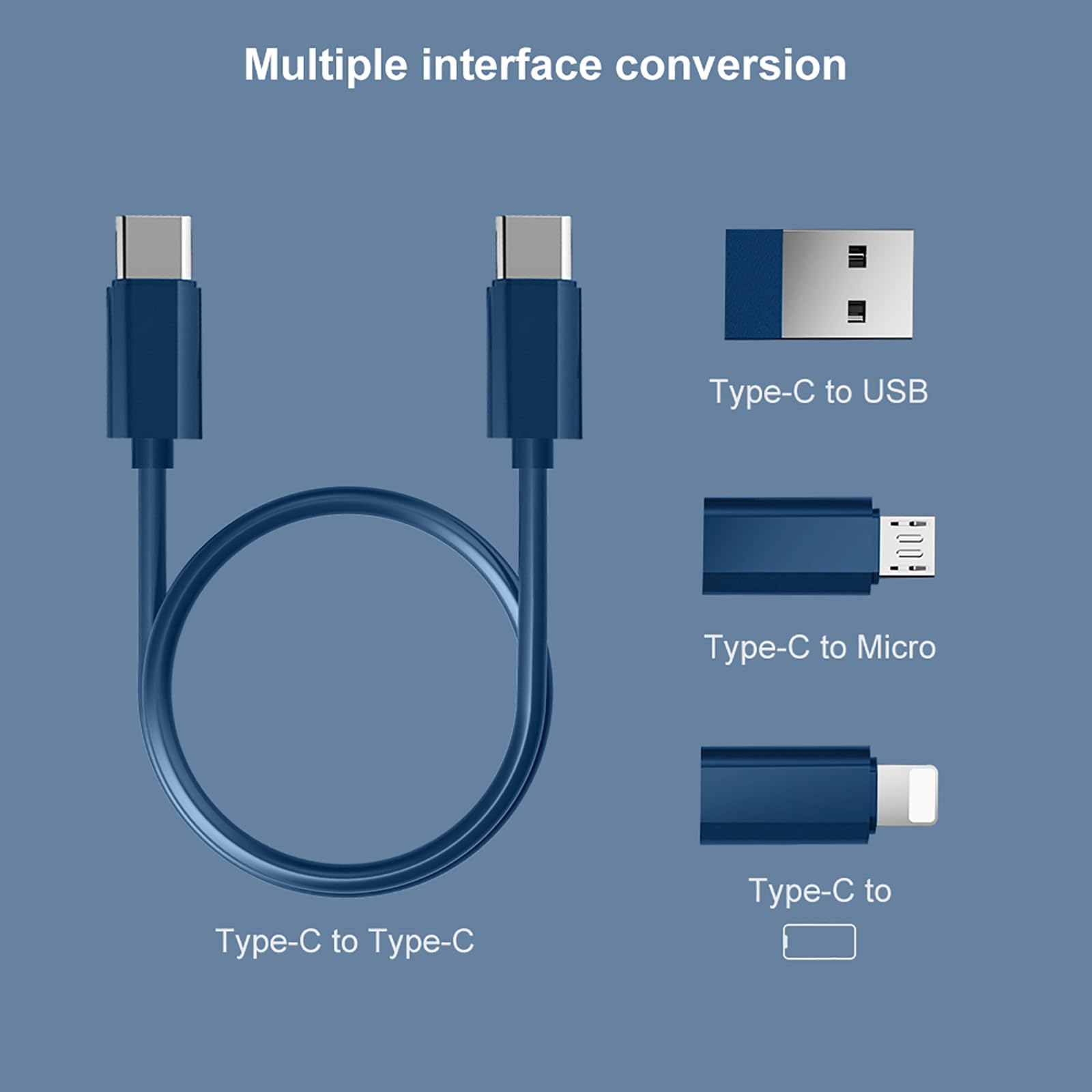 Yanzie Usb Adapter, Micro Usb Charging Cable With Usb C Lightning Adapter, Lightning To Usb C Adapter, Multi Charging Cable Stor