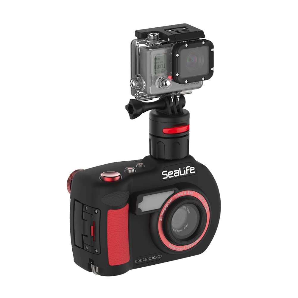 Flex-Connect Cold Shoe