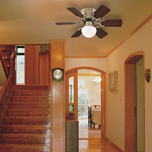 Westinghouse 7215800 Petite Indoor Ceiling Fan With Light, 30 Inch, Antique Brass