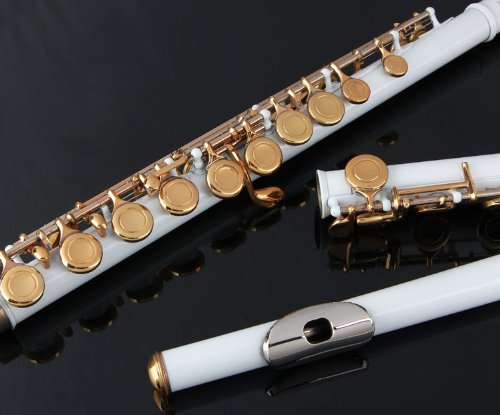 Glory Closed Hole C Flute With Case, Tuning Rod And Cloth,Joint Grease And Gloves White/Laquer