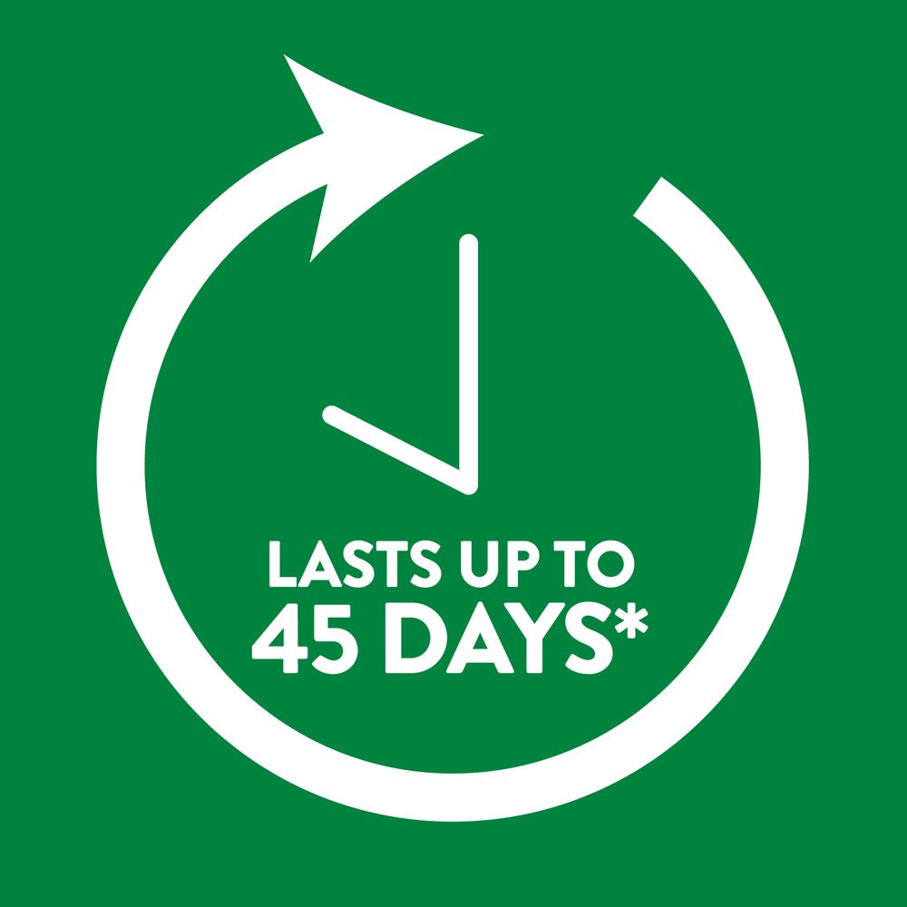 Air Wick Plug In Scented Oil Refill, 2Ct, Pumpkin Spice, Air Freshener, Essential Oils, Fall Scent, Fall D  Cor