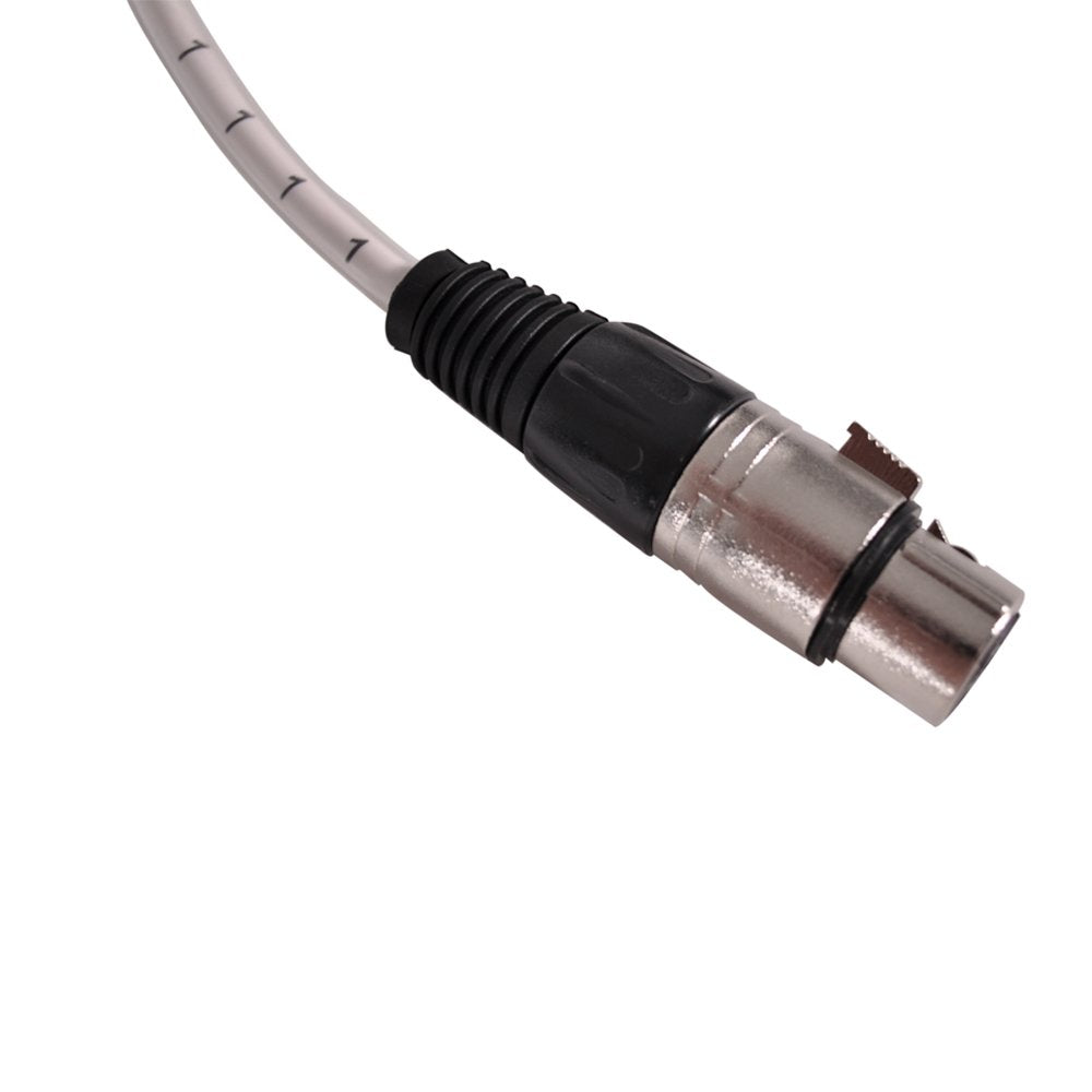 Seismic Audio Satxsw-4X10 2-Channel 10-Feet Insert Snake Cable 4 Trs To 2 Xlr Male And 2 Xlr Female