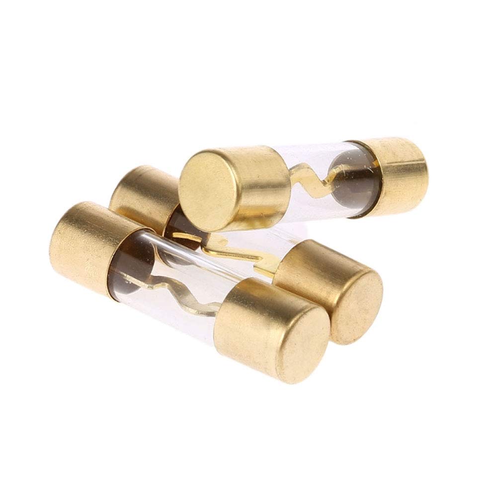 Etopar 5 X 100A Agu Fuse Car Auto Audio Power Safety Protect Glass Tube Gold Plated Radio