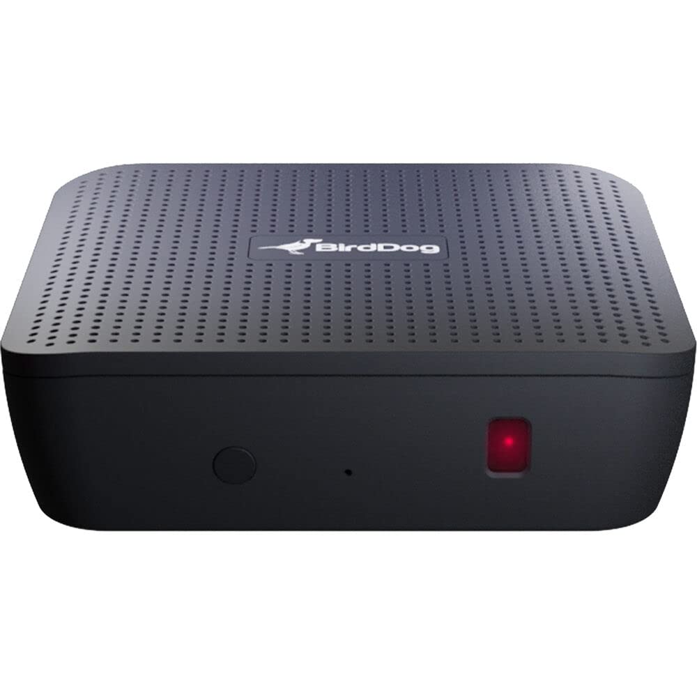 Birddog Play 4K Ndi Player