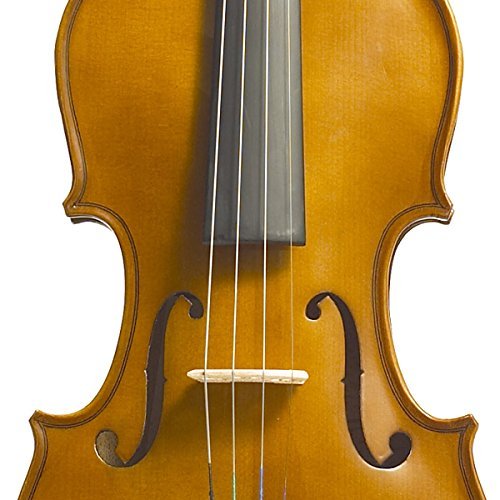 Stentor 1400 1/2 Violin