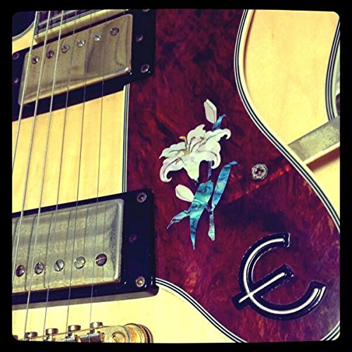 Inlaystickers Sticker/Decal (H 123Ly)