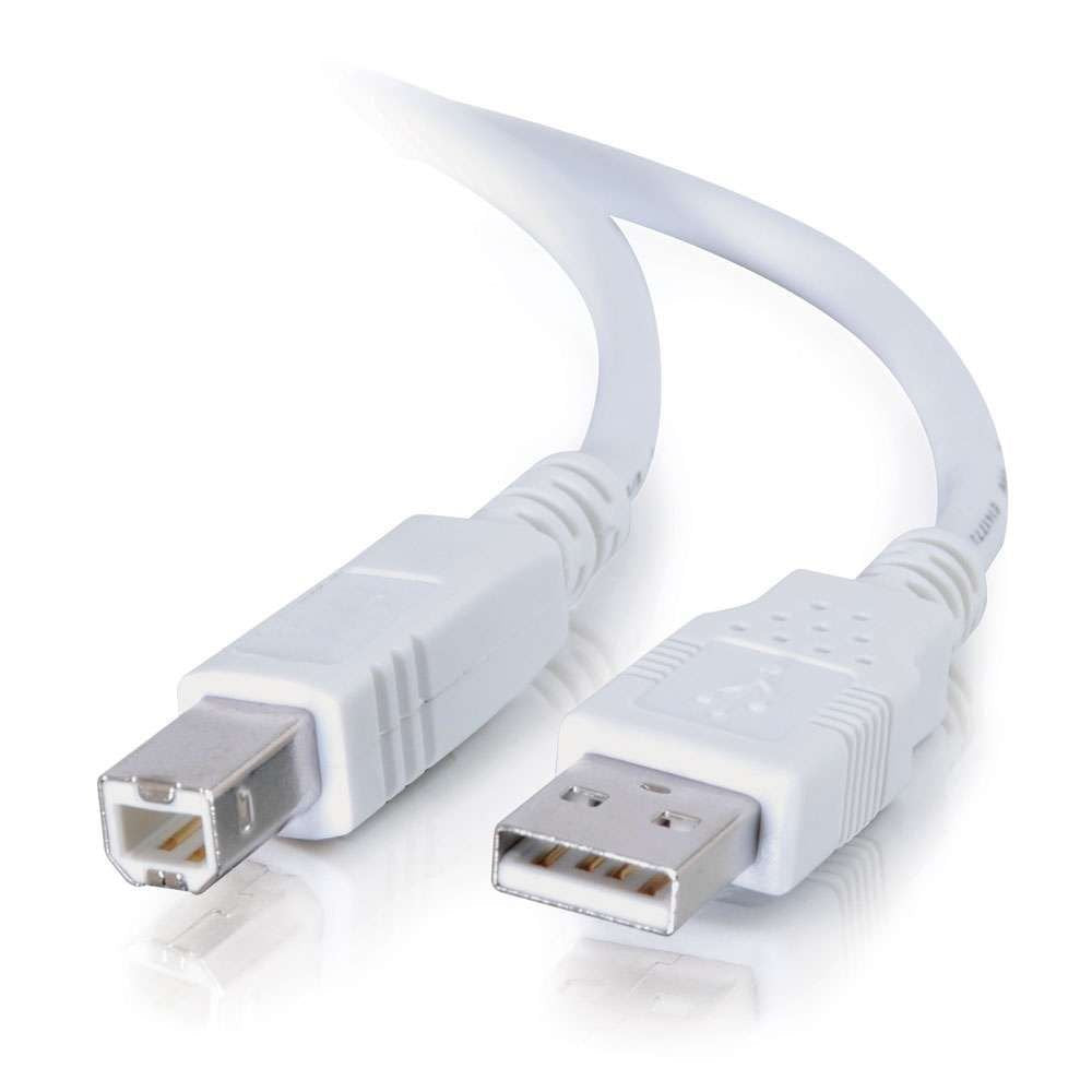 Cables To Go 13401 Usb 2.0 A Male To B Male Cable, White (15 Feet)