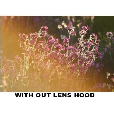 Plr Optics 55Mm Lens Hood For The Sony Dsc Hx300 Digital Camera