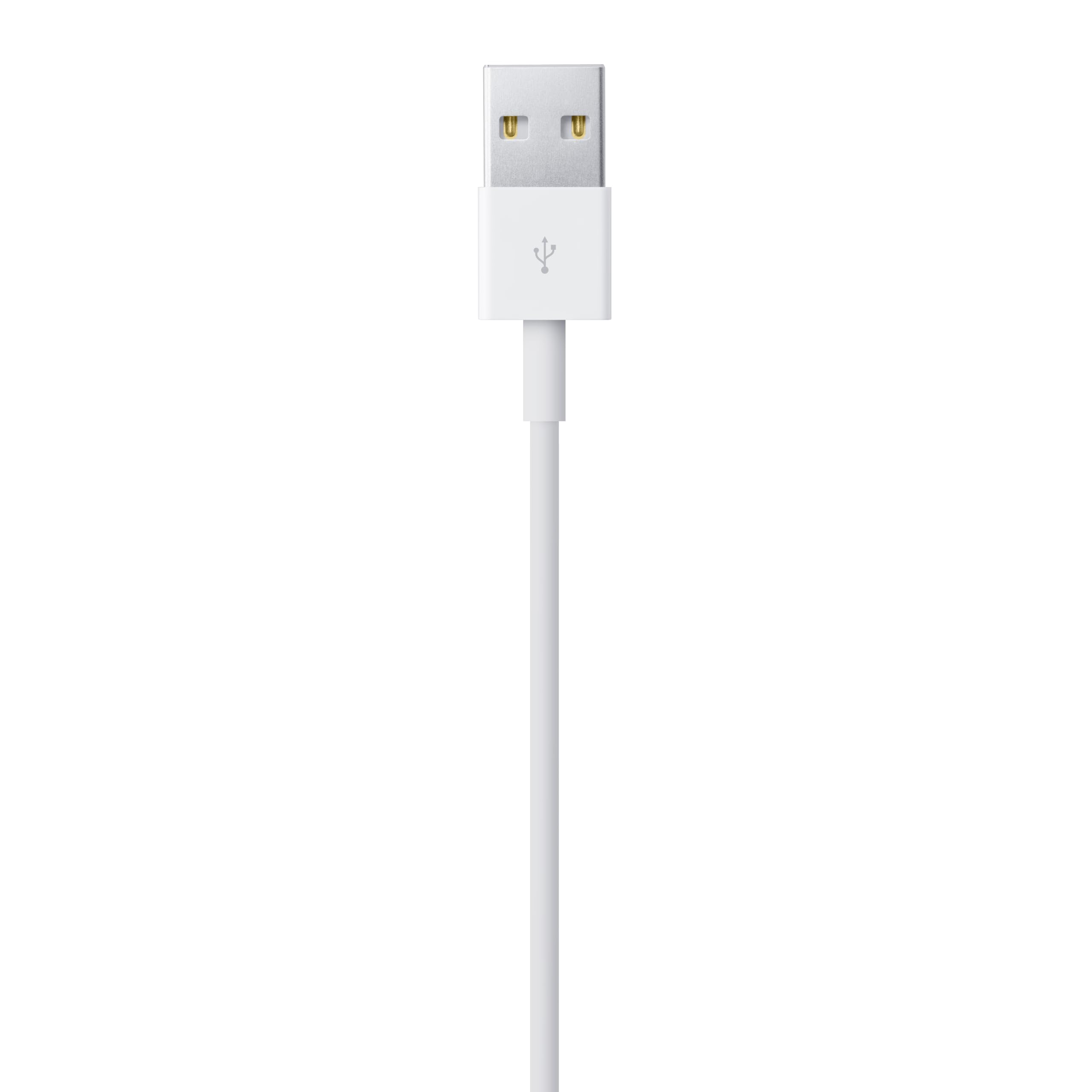 Apple Lightning to USB Cable (1 m) ???????