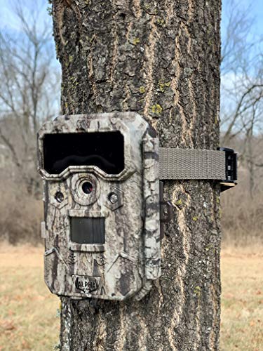 Alpha Cam Outdoor Hunting Trail Camera 24Mp 1080P Ip67 Waterproof Scouting Cam With Ultra Fast Trigger Speed, 2.4'' Color Viewsc