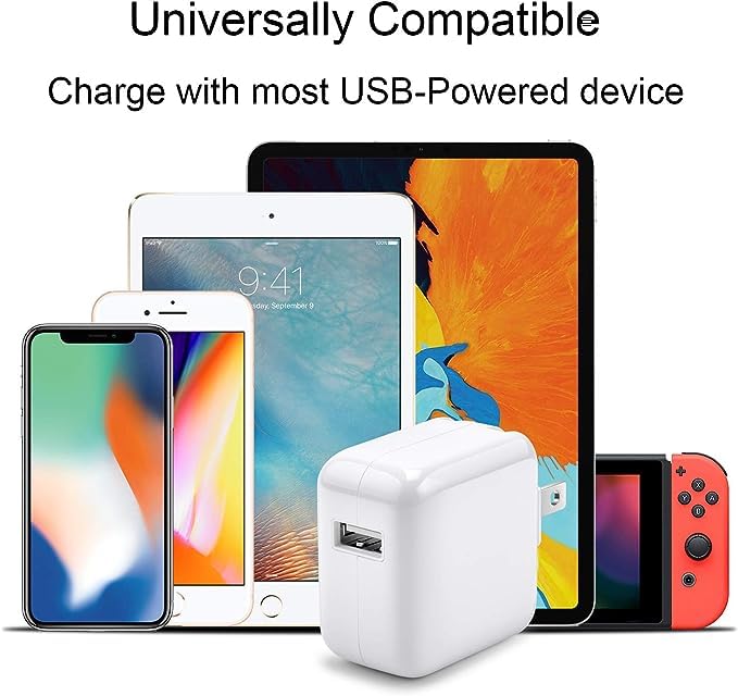 Charger For Ipad Charger Iphone Charger 12W Usb Wall Charger Foldable Portable Travel Plug With Usb Charging Modem Cables Compat